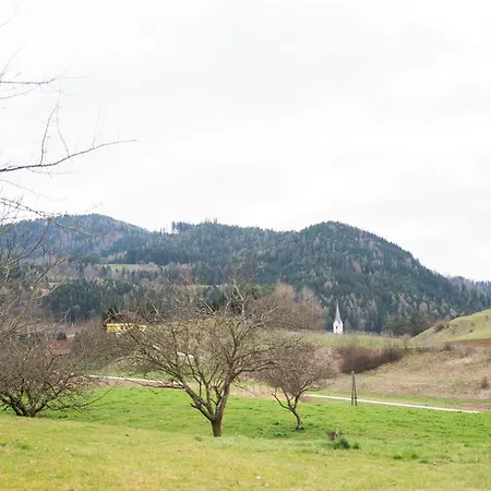 Apartament Stiglitzer *